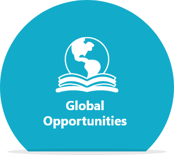 IB Feature Option 4